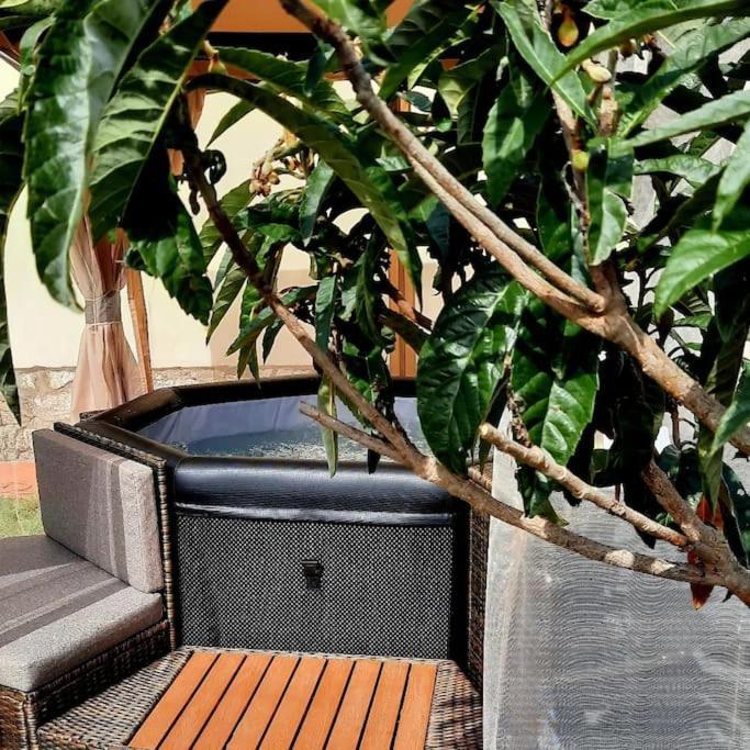 Il Casale Di Lucullo Villa Lucignano Ngoại thất bức ảnh